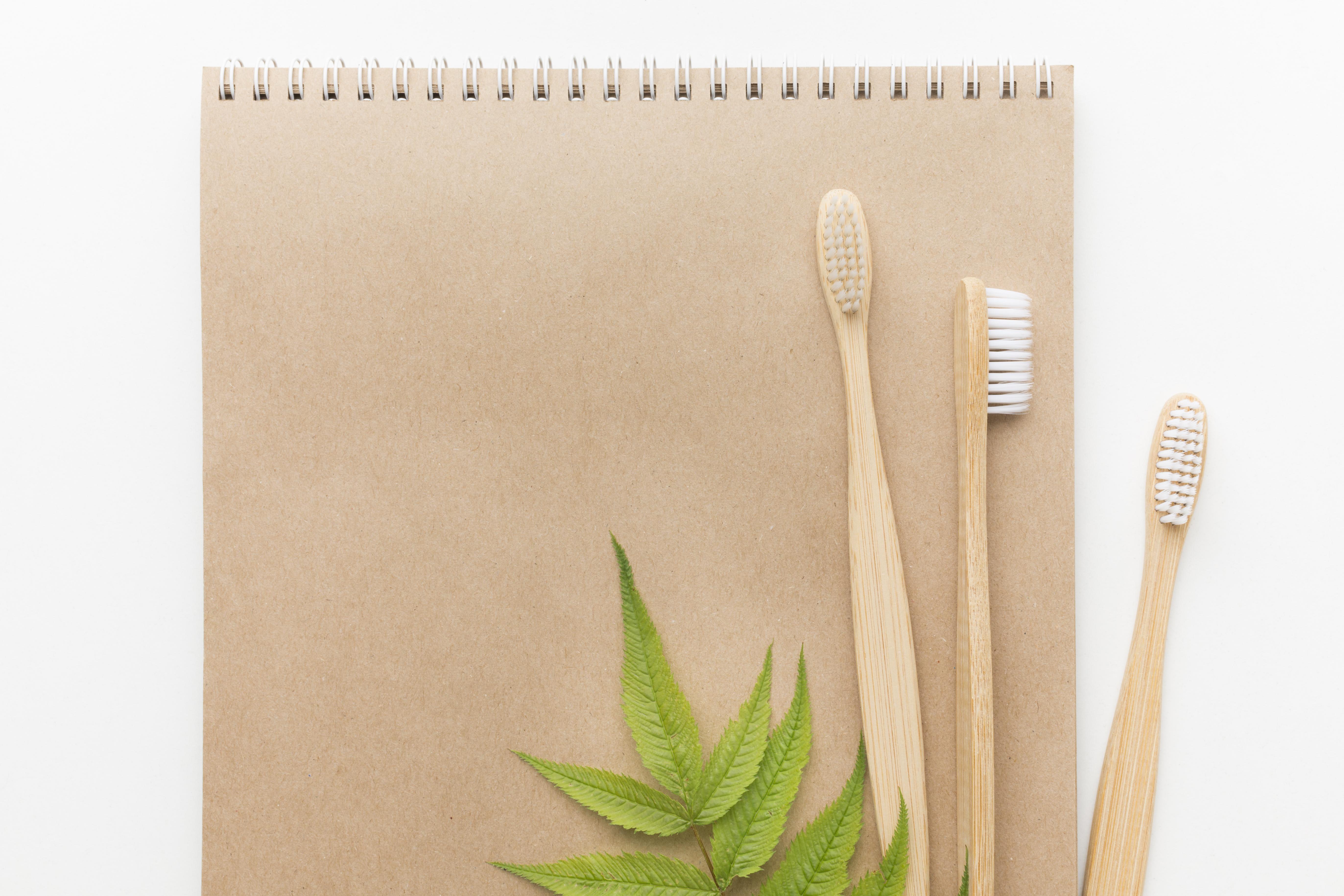 Bamboo Toothbrush