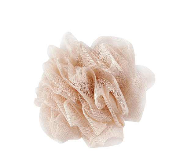 Loofah Sponge