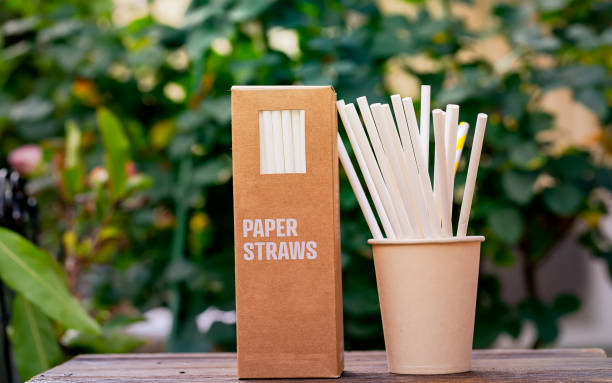 Stainless Straws